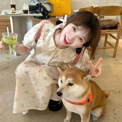 兰闺飞凤